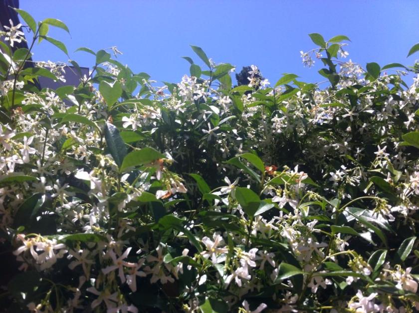 Wake up and smell....