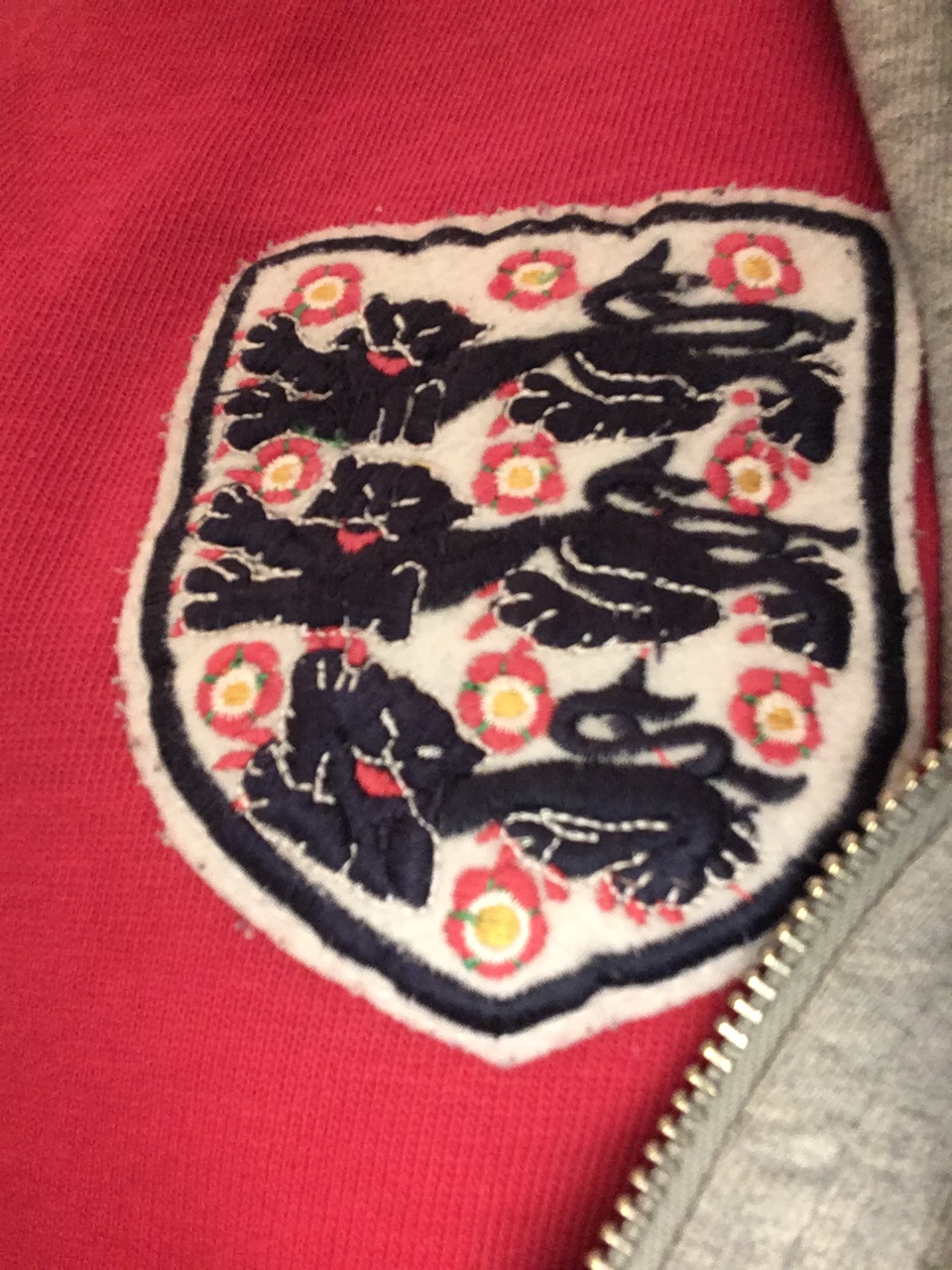 Three lions on a&nbsp;shirt